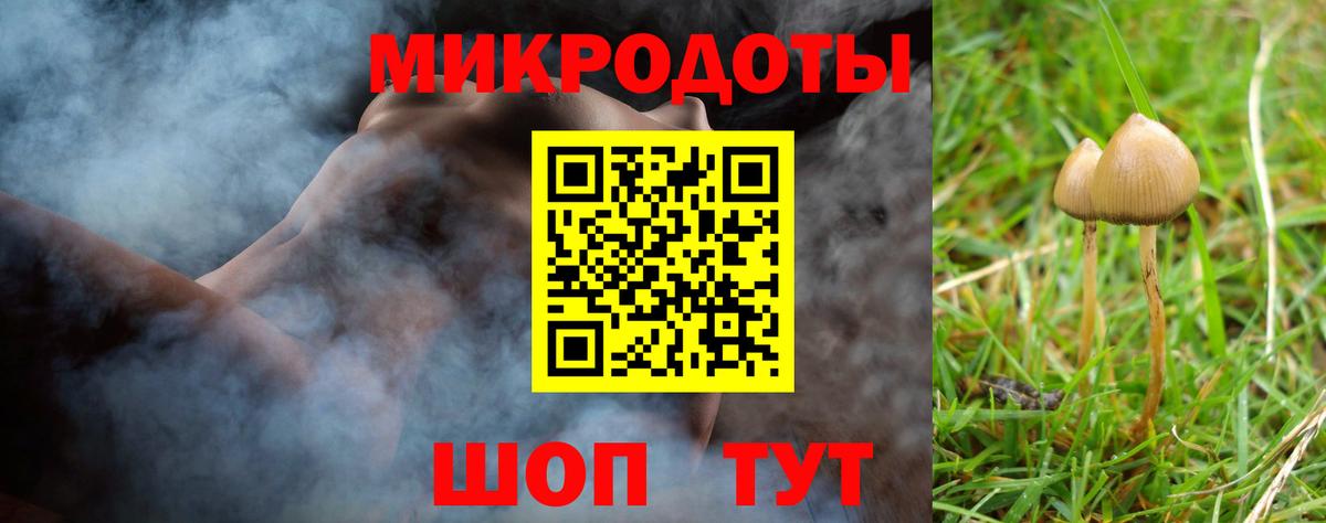 Псилоцибиновые грибы мицелий Советск